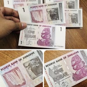 Tiền Hình Trâu Zimbabwe 1 Dollar